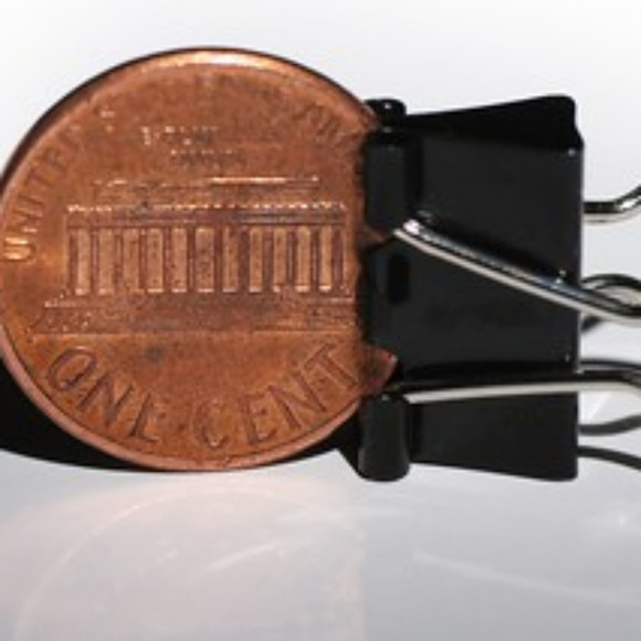 Meet your Posher, Jocelyn - Picture 1 of 1